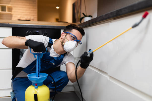Best Pest Control Near Me in Swedeland, PA